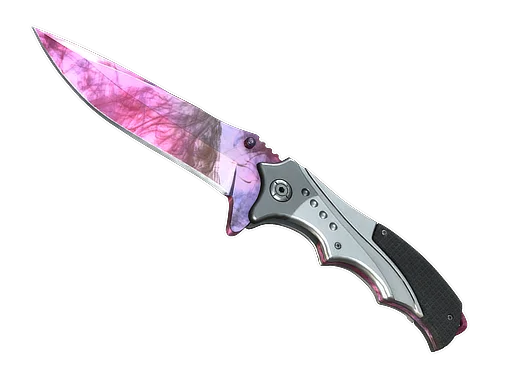 Nomad Knife | Doppler Phase 2