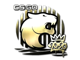 FURIA (Gold) | 2020 RMR