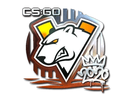 Virtus.pro (Foil) | 2020 RMR