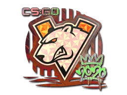 Virtus.pro (Holo) | 2020 RMR