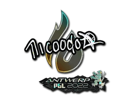 nicoodoz (Glitter) | Antwerp 2022