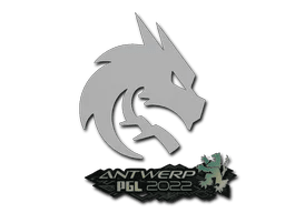 Team Spirit | Antwerp 2022