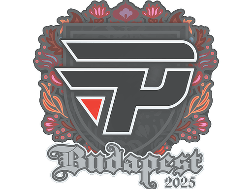 paiN Gaming | Budapest 2025