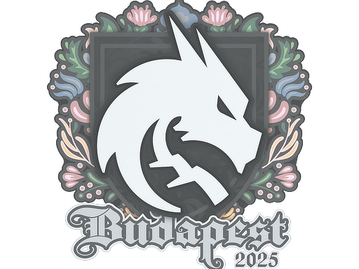 Team Spirit | Budapest 2025