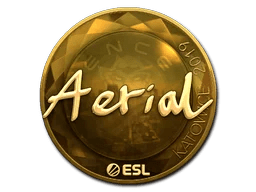 Aerial (Gold) | Katowice 2019