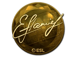 flamie (Gold) | Katowice 2019