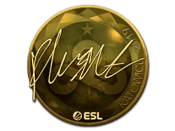 flusha (Gold) | Katowice 2019