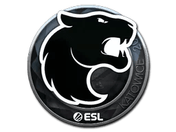 FURIA (Foil) | Katowice 2019