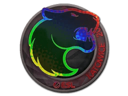 FURIA (Holo) | Katowice 2019