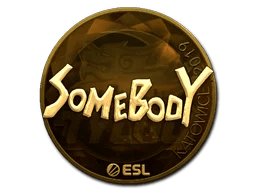 somebody (Gold) | Katowice 2019