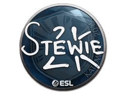 Stewie2K | Katowice 2019