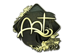 arT (Gold) | Rio 2022