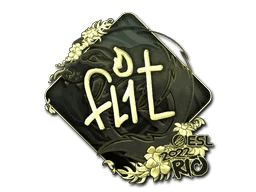 FL1T (Gold) | Rio 2022