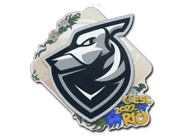 Grayhound Gaming | Rio 2022