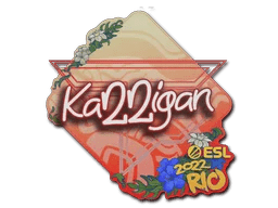 karrigan | Rio 2022