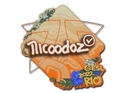 nicoodoz | Rio 2022