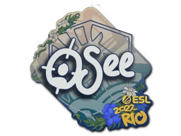 oSee | Rio 2022