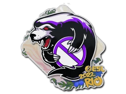 Outsiders | Rio 2022