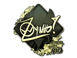 ZywOo (Gold) | Rio 2022